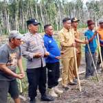 Polres Jember Bersama Pemdes Lojejer dan LMDH Tanam Jagung Seluas 3 Hektar