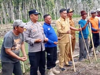 Polres Jember Bersama Pemdes Lojejer dan LMDH Tanam Jagung Seluas 3 Hektar