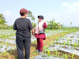 OWNER REDDOORZ SYARIAH TINJAU PERKEMBANGAN LAHAN PERKEBUNAN DI KALICECEP WONOSOBO